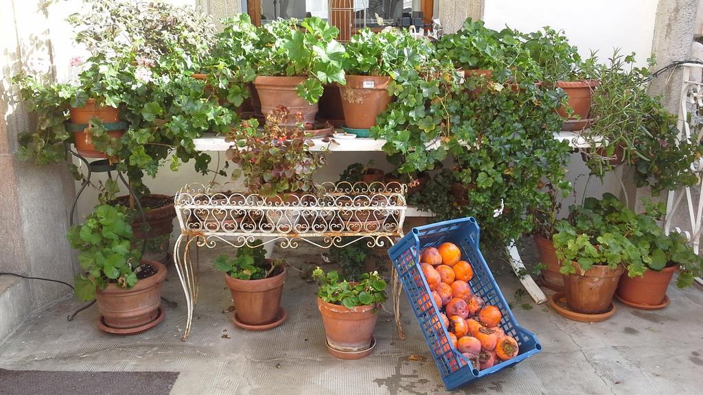 Villa Maria Bed & Breakfast, Corridonia, Marche Eksteriør bilde