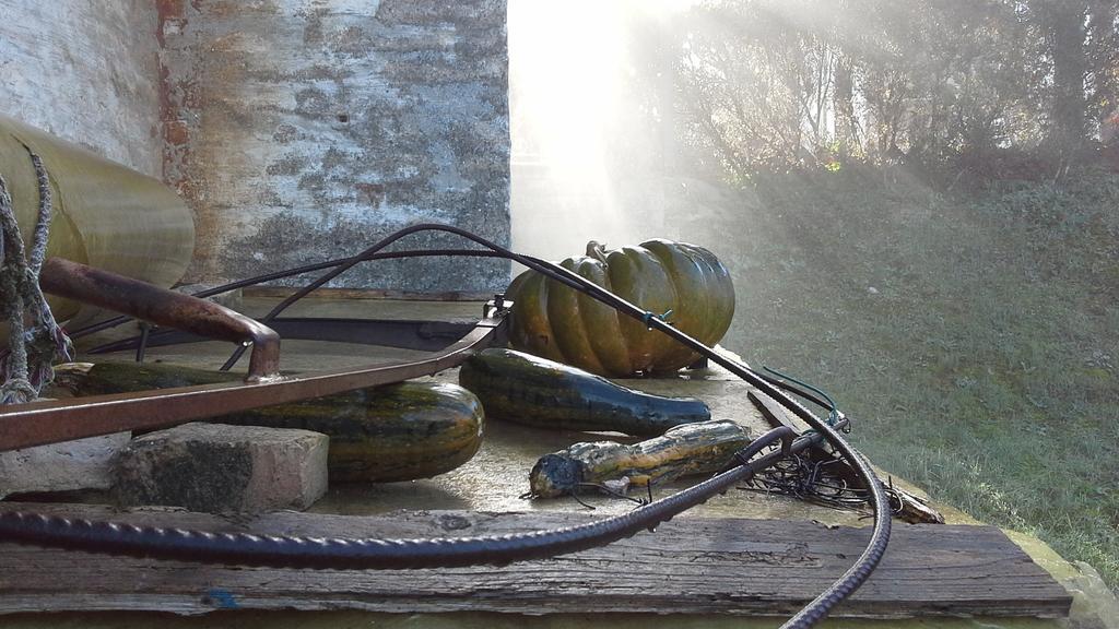 Villa Maria Bed & Breakfast, Corridonia, Marche Eksteriør bilde